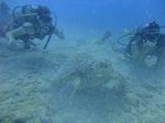 Hawaii Scuba divng 48