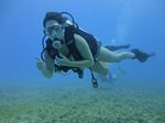 Hawaii Scuba divng 52