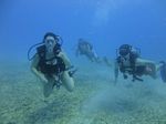 Hawaii Scuba divng 53