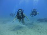 Hawaii Scuba divng 54