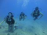 Hawaii Scuba divng 56