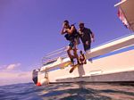 Hawaii Scuba divng 06