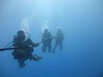 Hawaii Scuba divng 08