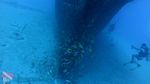 Hawaii scuba 01