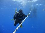 Hawaii Scuba divng 17