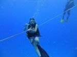 Hawaii Scuba divng 18