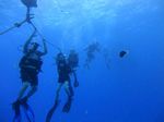 Hawaii Scuba divng 19