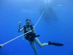 Hawaii Scuba divng 20