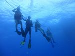 Hawaii Scuba divng 21