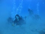 Hawaii Scuba divng 24