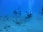 Hawaii Scuba divng 26