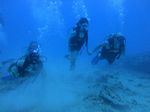 Hawaii Scuba divng 27