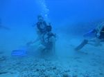 Hawaii Scuba divng 28