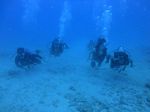 Hawaii Scuba divng 29