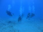 Hawaii Scuba divng 30