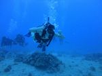 Hawaii Scuba divng 32