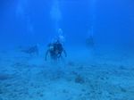 Hawaii Scuba divng 33