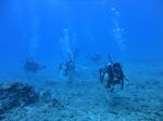 Hawaii Scuba divng 34