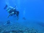 Hawaii Scuba divng 36