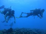 Hawaii Scuba divng 41