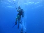 Hawaii Scuba divng 44