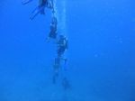 Hawaii Scuba divng 45