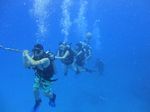 Hawaii Scuba divng 46