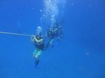 Hawaii Scuba divng 47