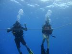 Hawaii Scuba divng 49