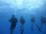 Hawaii Scuba divng 51