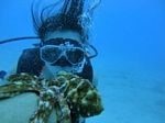 Hawaii Scuba divng 57