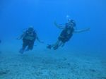 Hawaii Scuba divng 64