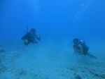 Hawaii Scuba divng 65