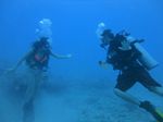 Hawaii Scuba divng 71