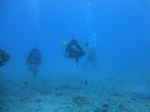 Hawaii Scuba divng 72