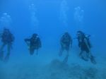 Hawaii Scuba divng 76