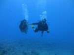 Hawaii Scuba divng 88