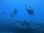 Hawaii Scuba divng 89