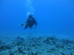 Hawaii Scuba divng 92