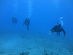 Hawaii Scuba divng 94