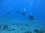 Hawaii Scuba divng 95