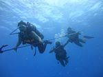 Hawaii Scuba divng 17