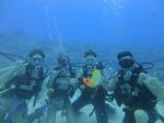 Hawaii Scuba divng 22