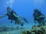 Hawaii Scuba divng 23