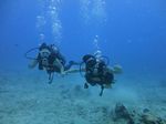 Hawaii Scuba divng 25