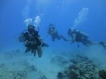 Hawaii Scuba divng 26