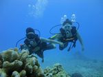 Hawaii Scuba divng 30