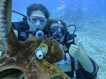 Hawaii Scuba divng 38