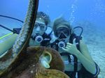 Hawaii Scuba divng 39