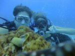 Hawaii Scuba divng 42